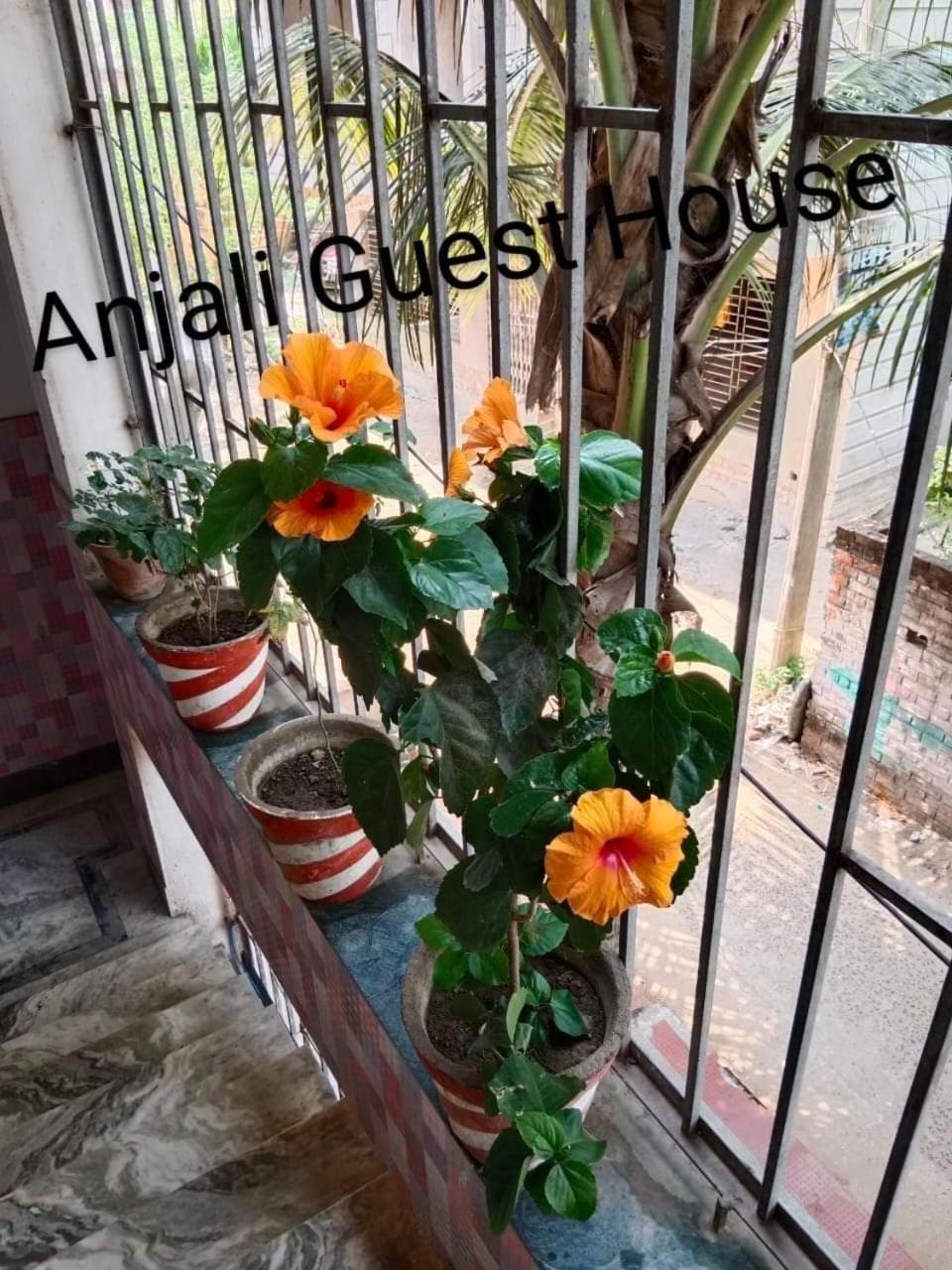 Anjali Guest House Digha  Luaran gambar